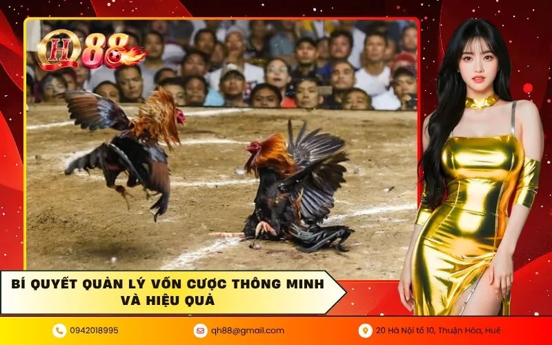 Bí quyết quản lý vốn cược thông minh và hiệu quả
