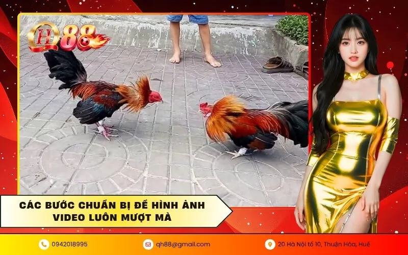 Các bước chuẩn bị để hình ảnh video luôn mượt mà