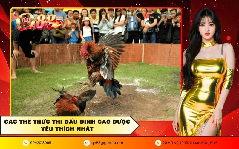 Các thể thức thi đấu đỉnh cao được yêu thích nhất
