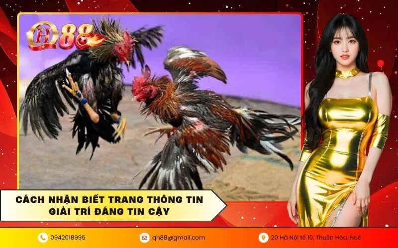 Cách nhận biết trang thông tin giải trí đáng tin cậy