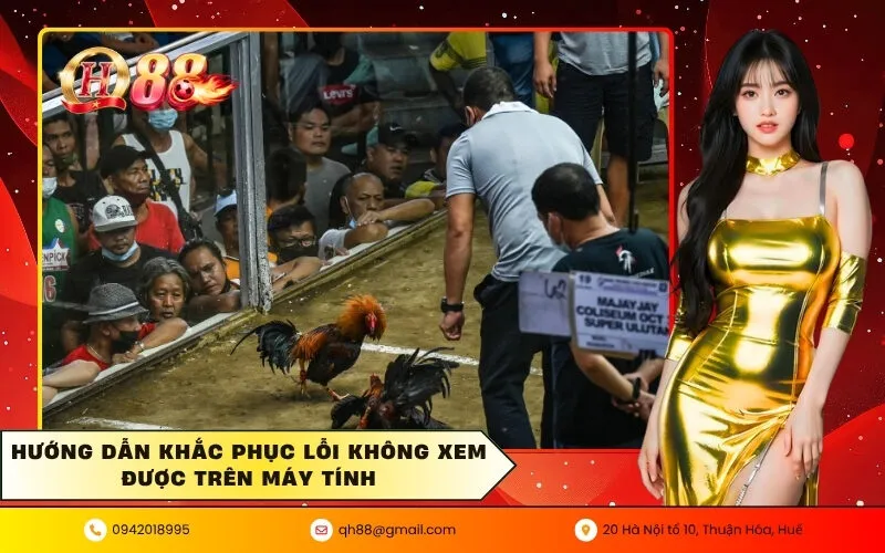 Hướng dẫn khắc phục lỗi không xem được trên máy tính